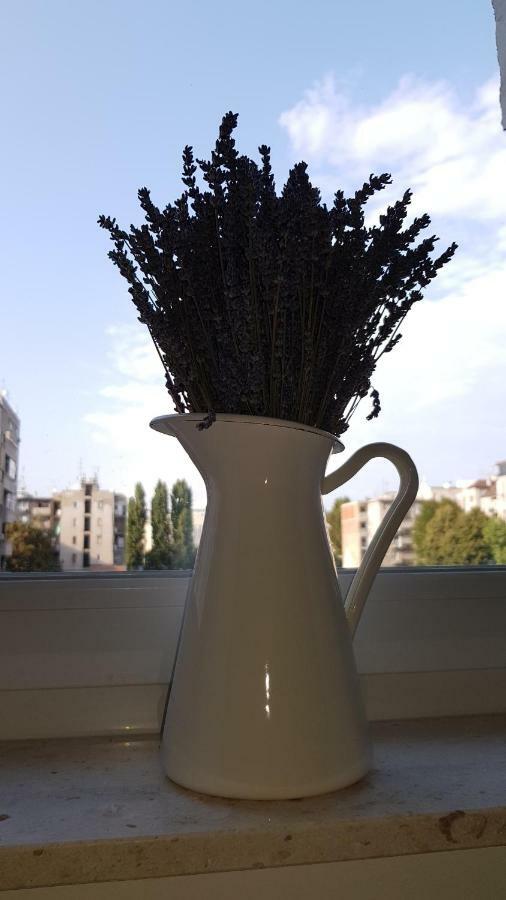 Citylux Apartments Zágráb Kültér fotó